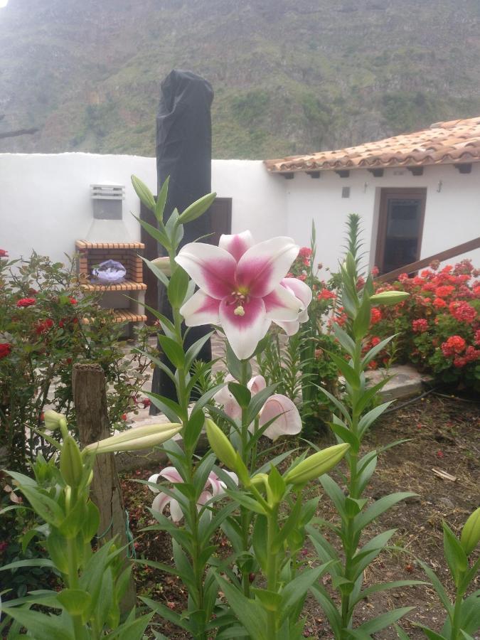 Agulo Casa La Plazaヴィラ エクステリア 写真